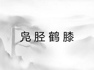 凫胫鹤膝 凫胫鹤膝