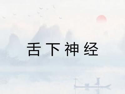 舌下神经 舌下神经