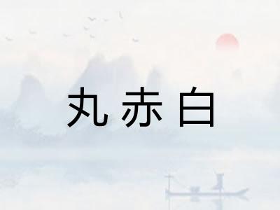 丸赤白