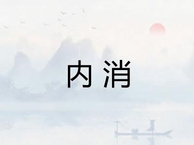 内消