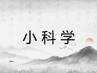 小科学