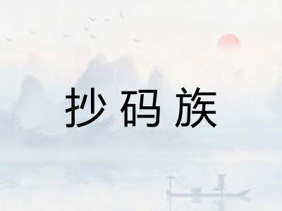 抄码族 抄码族
