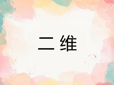 二维