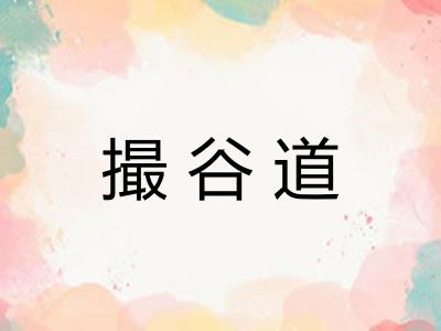 撮谷道 撮谷道