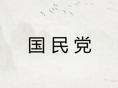 国民党 国民党