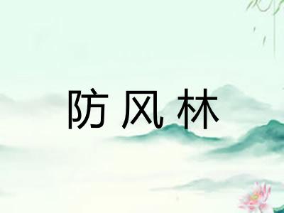 防风林 防风林
