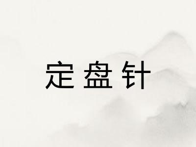 定盘针 定盘针
