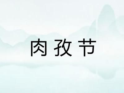 肉孜节 肉孜节