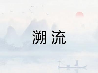 溯流