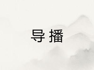 导播 导播
