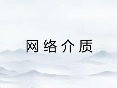 网络介质