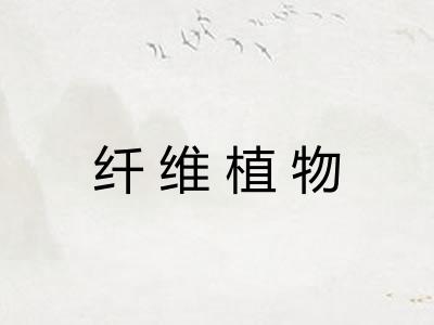 纤维植物 纤维植物