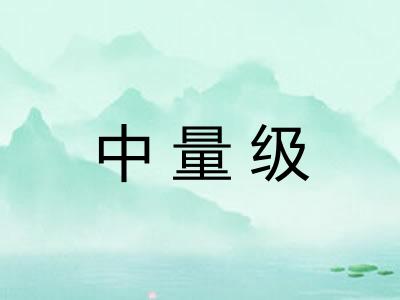 中量级