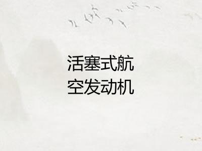 活塞式航空发动机 活塞式航空发动机