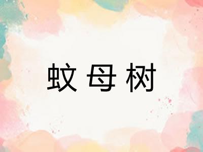蚊母树