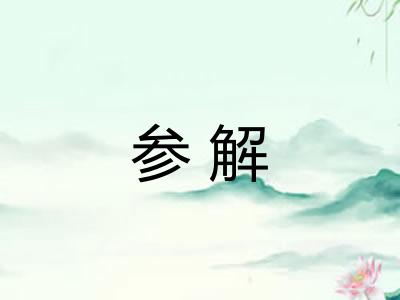 参解 参解