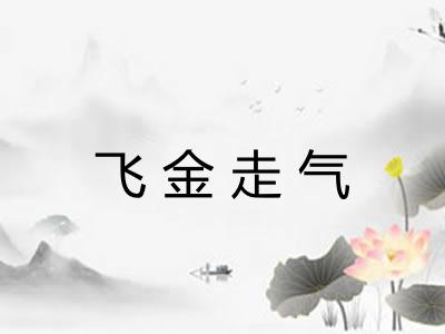 飞金走气 飞金走气
