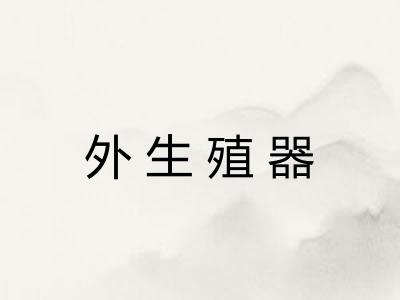 外生殖器 外生殖器