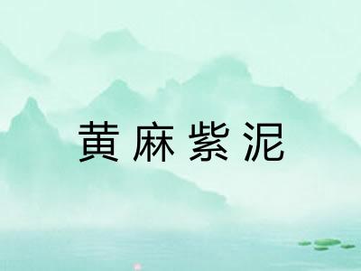 黄麻紫泥 黄麻紫泥