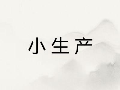 小生产 小生产