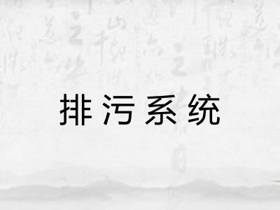 排污系统 排污系统