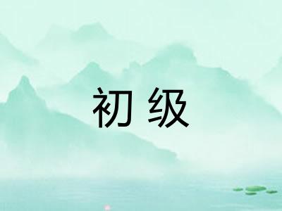 初级 初级