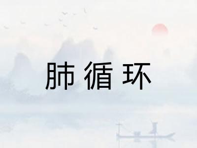 肺循环