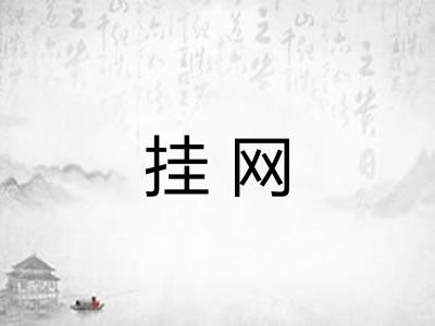 挂网 挂网