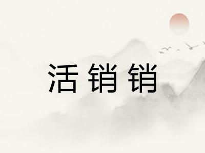 活销销