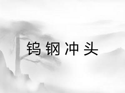 钨钢冲头 钨钢冲头