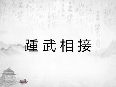 踵武相接 踵武相接