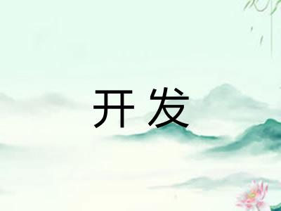 开发 开发