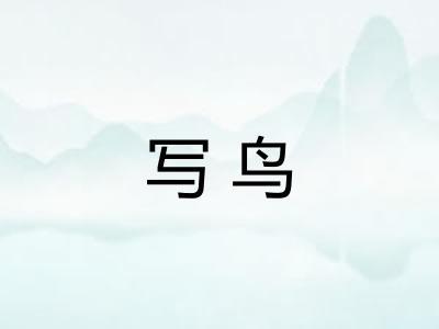 写鸟