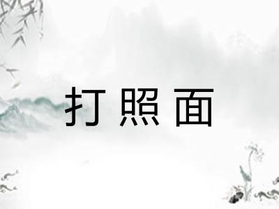 打照面 打照面