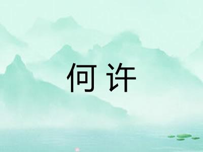 何许 何许