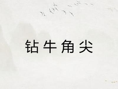 钻牛角尖 钻牛角尖