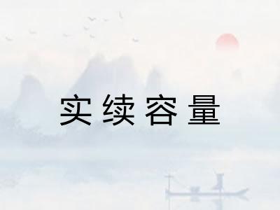 实续容量
