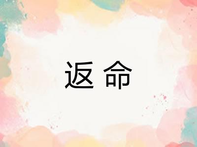 返命