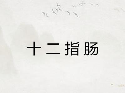 十二指肠 十二指肠