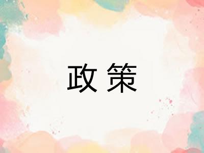 政策 政策