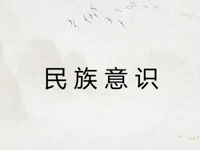 民族意识 民族意识