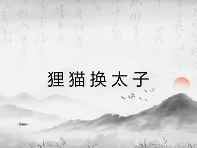 狸猫换太子