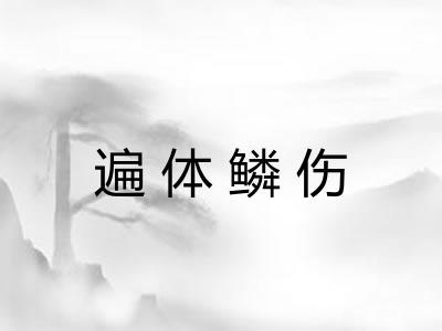 遍体鳞伤 遍体鳞伤