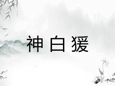 神白猨 神白猨