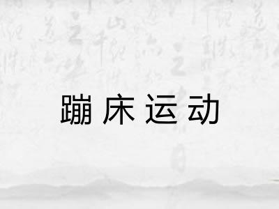 蹦床运动 蹦床运动