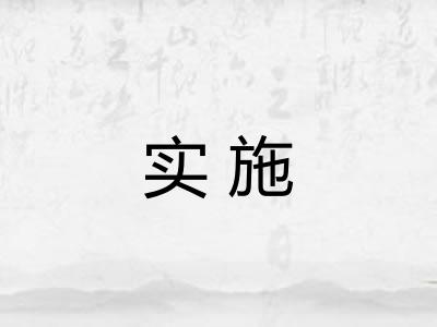 实施 实施