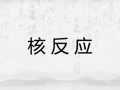 核反应 核反应