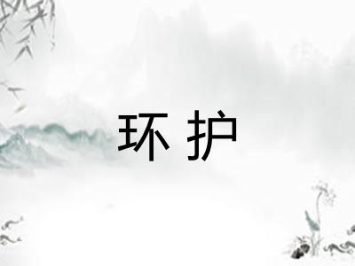 环护