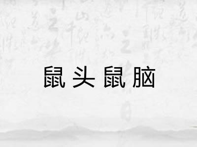 鼠头鼠脑 鼠头鼠脑