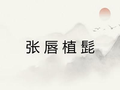 张唇植髭 张唇植髭